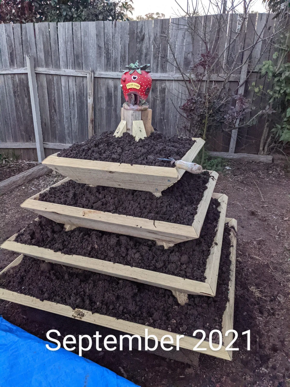 The strawberry pyramid 