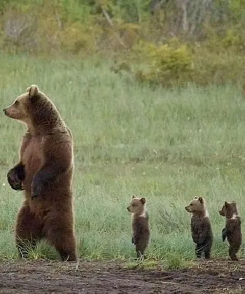 Nothing in nature is stronger than a mother