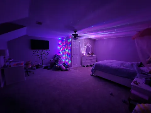 Transformed bonus room to daughter's dream bedroom.