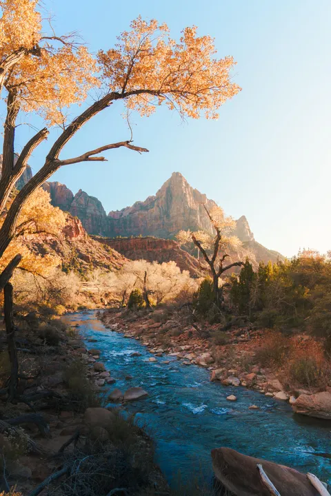 Zion National Park [OC] [3072x4608]