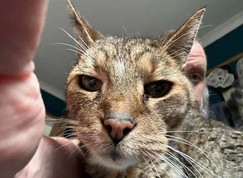 Tribute to my good mate Timmy. 19 years old, and today was his last.