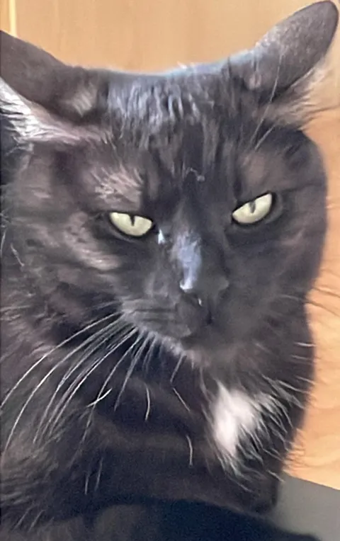 I accidentally fell asleep and woke up 30 min after dinner time. This is what I saw next to me