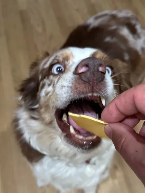 [homemade] nashville hot chicken salad sandwich. kinda.