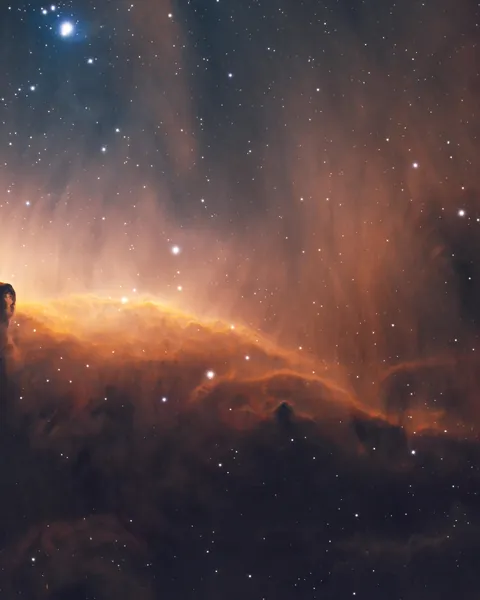 Happy Lunar New Year of the Horse!