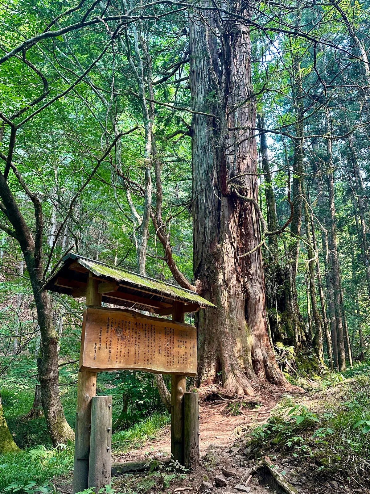 Japan: Nakasendo Trail between Magome and Tsumago