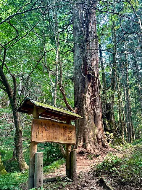 Japan: Nakasendo Trail between Magome and Tsumago