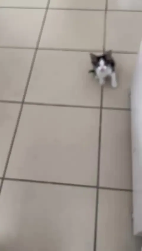 My dads co-worker made him a suprise at the Office by giving him this cutie. ❣️