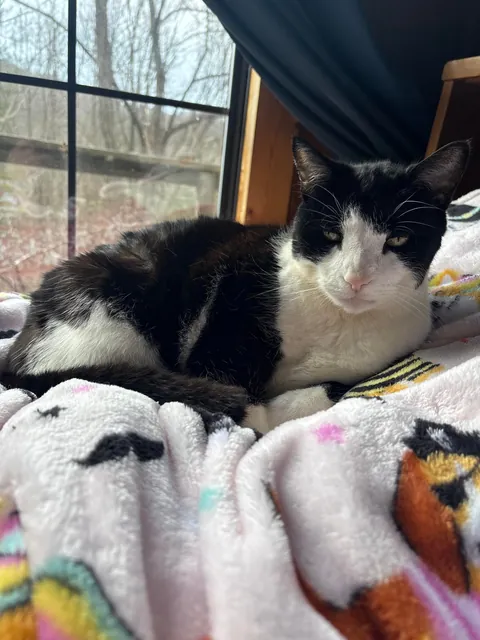 she was my best friend for 16 years…