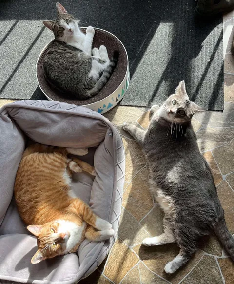 The gang’s all here!