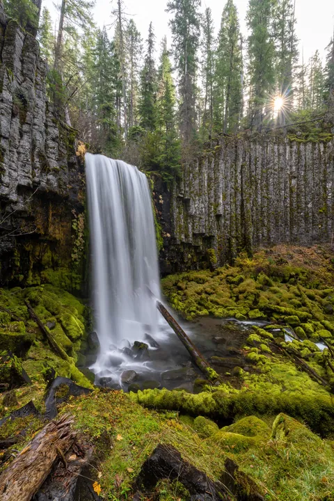 Where moss meets the basalt - Oregon [OC] [2154x3231]