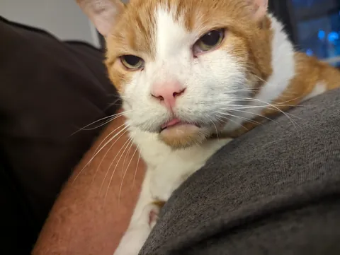 Our old man George 🌈