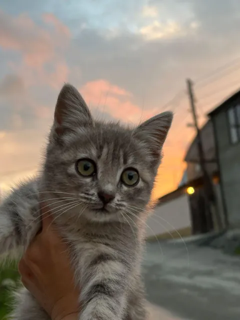 Those eyes are absolutely mesmerizing. 🥹