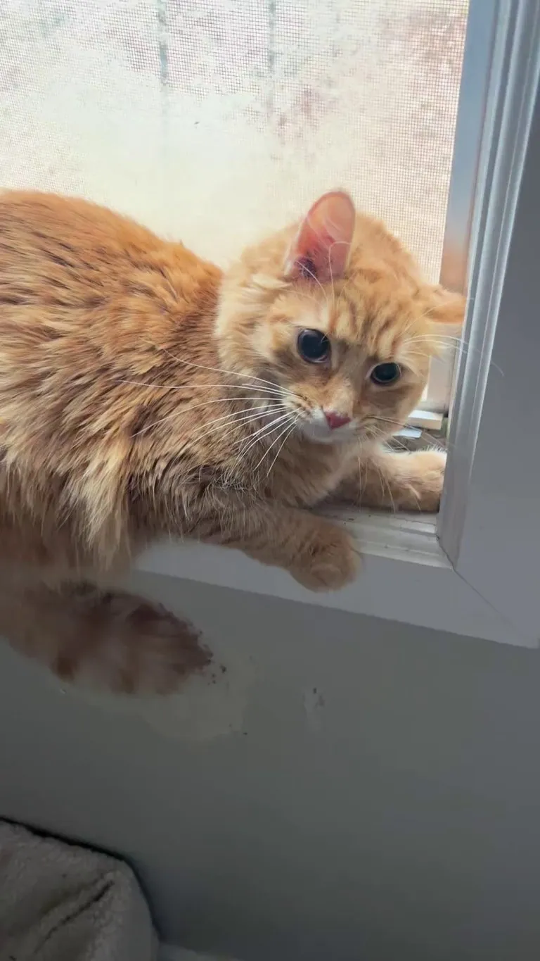 please please help me she has never acted like this