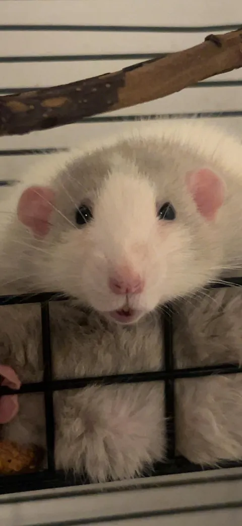 What does this face mean?