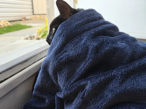 When "hunting" is life, but it's cold outside