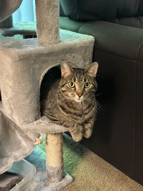 why does every vet i go to feel unwelcoming?