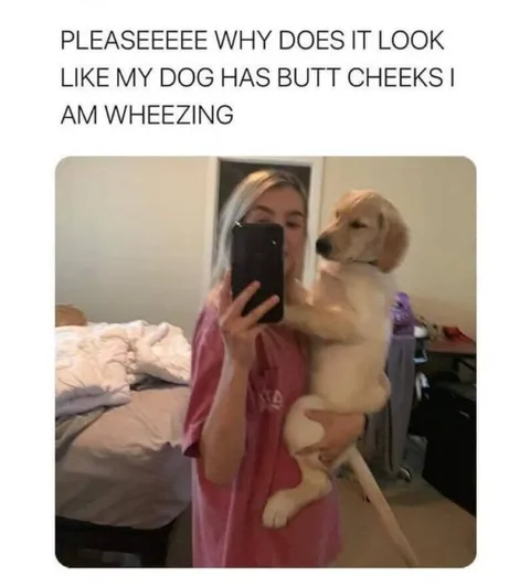 he didn’t choose the thicc life, the thicc life chose him