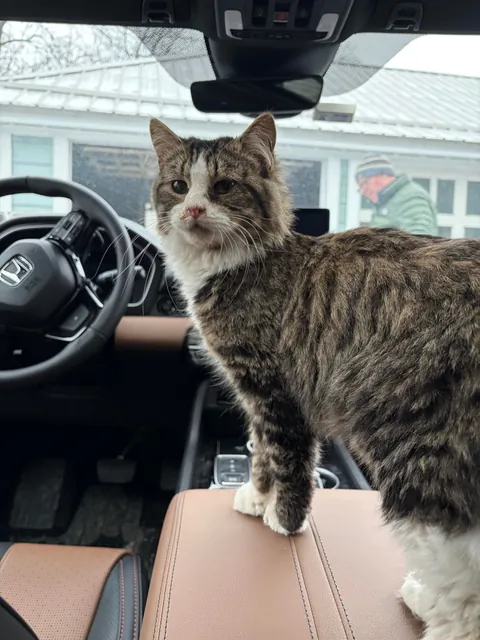 went for a christmas tree, ended up with larry