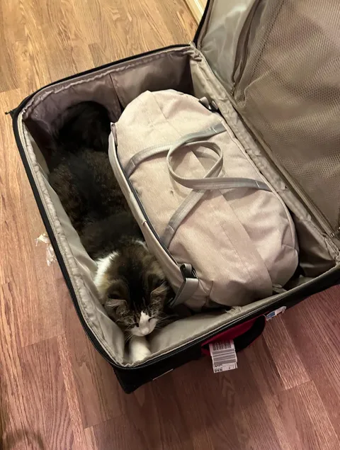 [OC] I was packing my bag for a trip and…