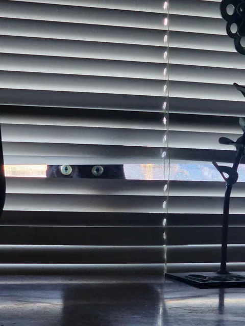 What I woke up to this morning