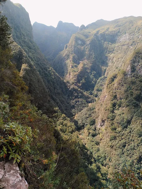 Madeira is a paradise for nature lovers. Five days on the island in pictures.