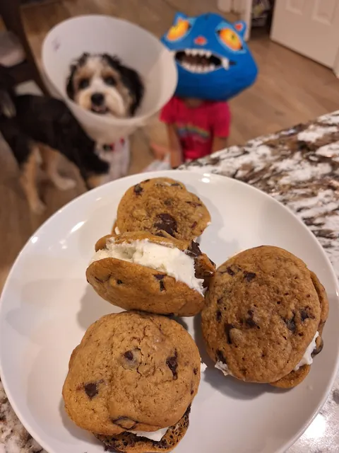 Ice cream sandwiches [homemade]
