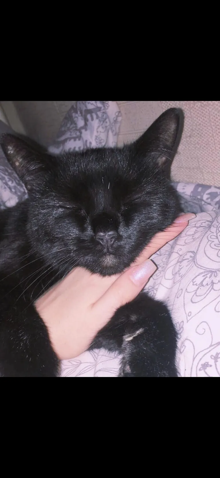 my darling boy of 18 years lost today. I love you