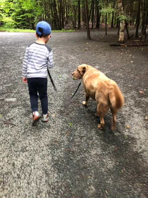 My Bassi bear tuned 10! My best boy, the best “big” brother and my best friend:)