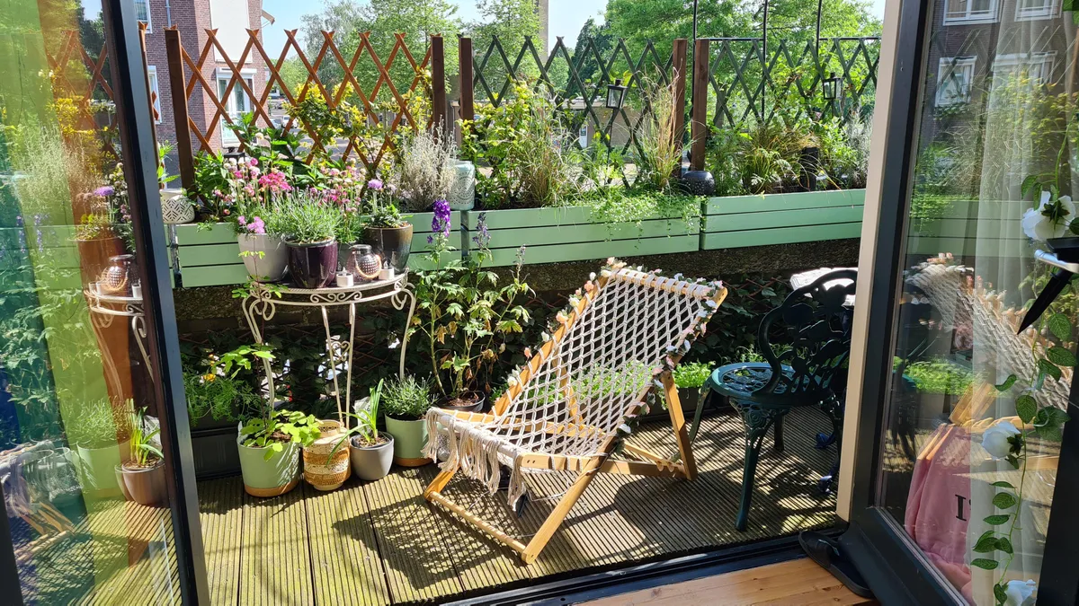 Welcome to my balcony garden.