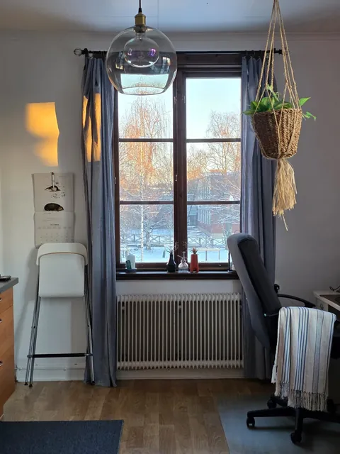 Woke up to a snowy view today