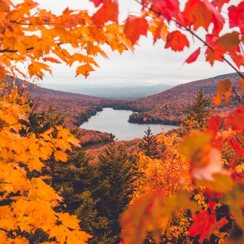 ITAP of fall in Vermont