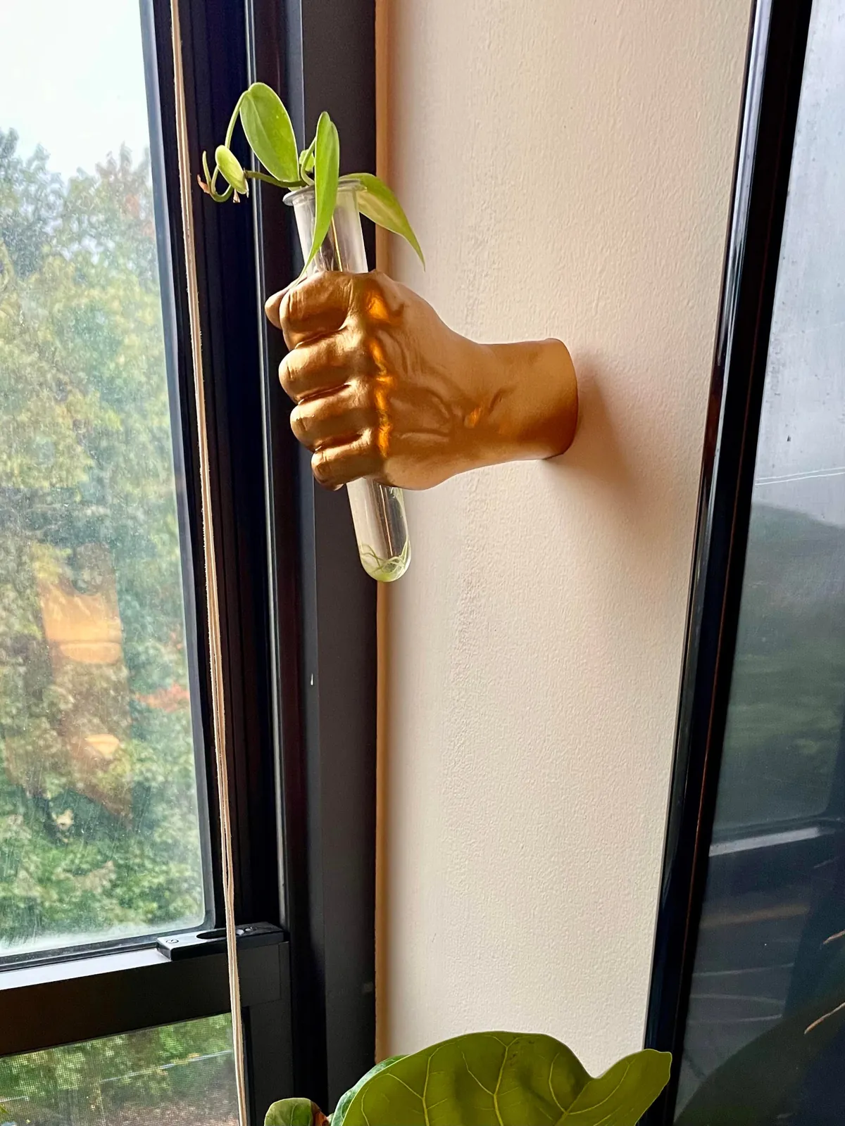 my tiny living room apartment where I can’t paint the walls