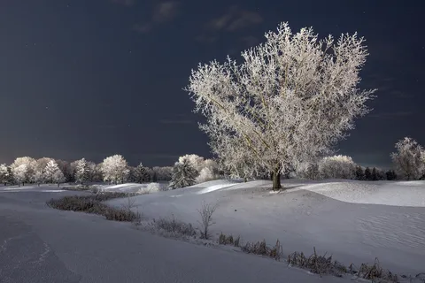 Winter Wonderland. Saskatchewan Canada [oc] [2048x1365]