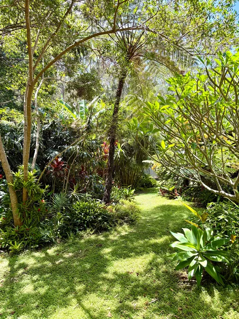 A quick dose of green from my garden for those up north who might be missing it. Arakoon, Australia