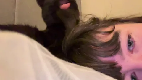 my nannan died, we dont know what to do with her cat