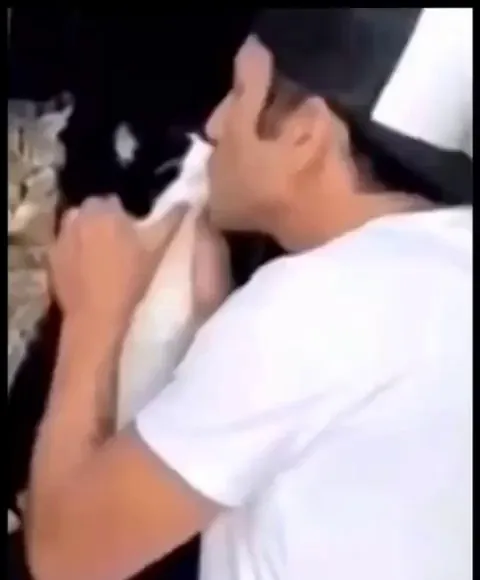 Same Difference amirite?