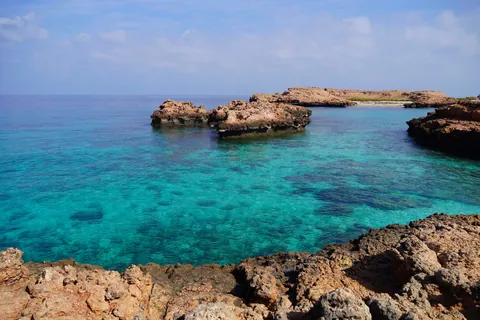 Oman: the most incredible nature in the Gulf! (Dec 2025)