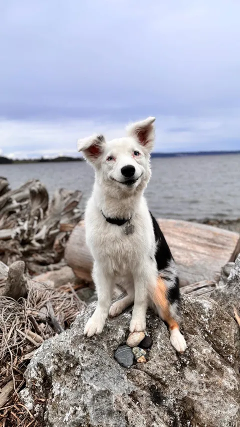 From Stoic to Derp, Freyja makes another appearance.