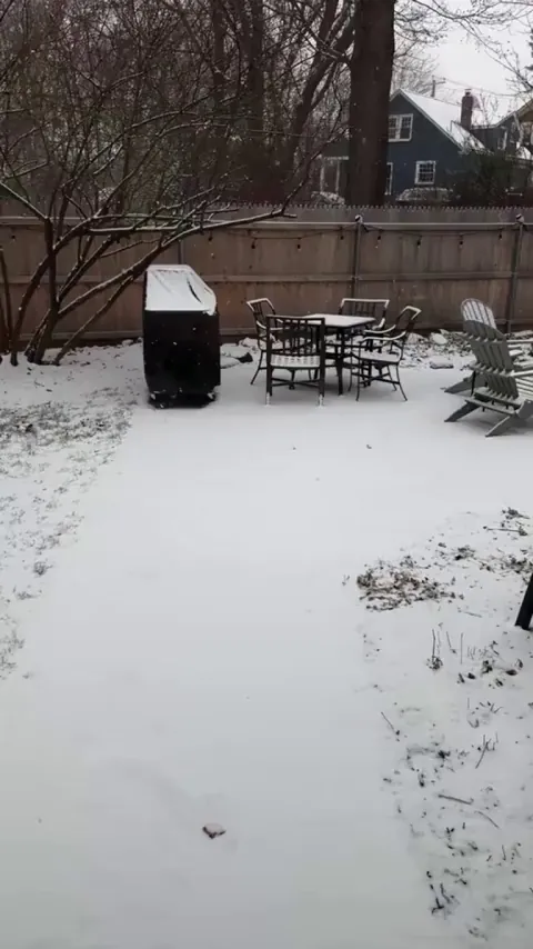 Golden retriever’s first time seeing snow
