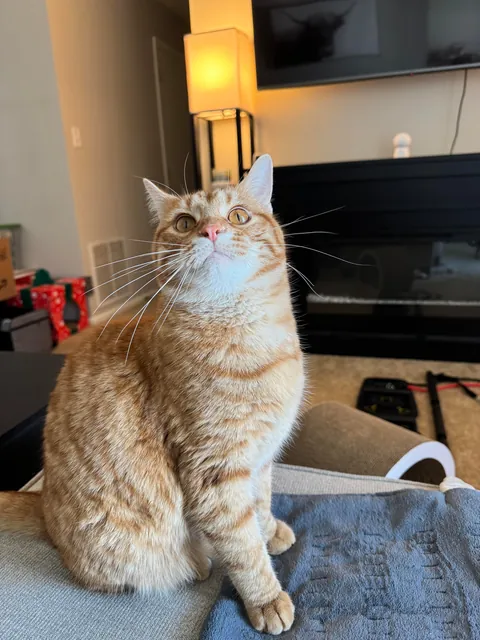 Love these guys. Posted them on here once before but had to share again