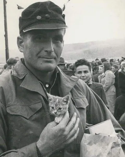 In WWI, around 500,000 cats served in trenches and on ships—controlling rats, boosting morale, and even acting as early gas detectors. They brought comfort to soldiers in the chaos of war. (Some pics are from WWII)