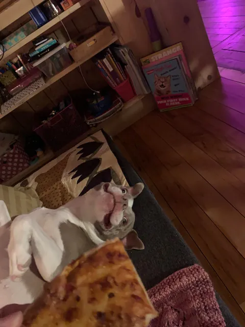 She was dead asleep before I sat down with PIZZA!!!!