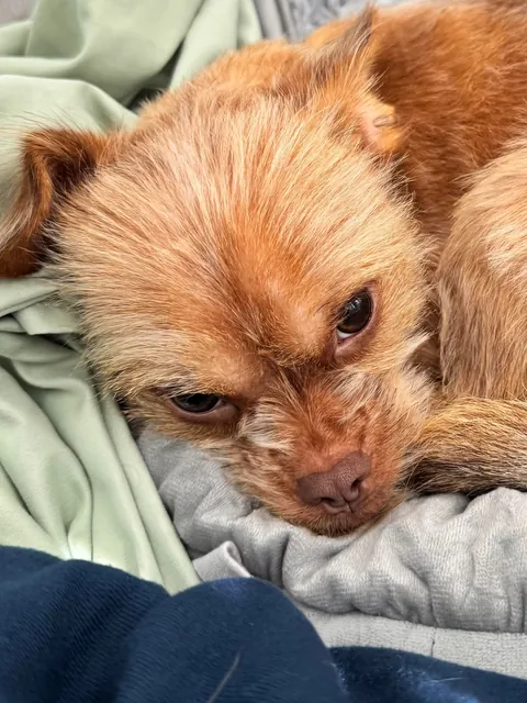 Filled with rage (I bought him a new bed)