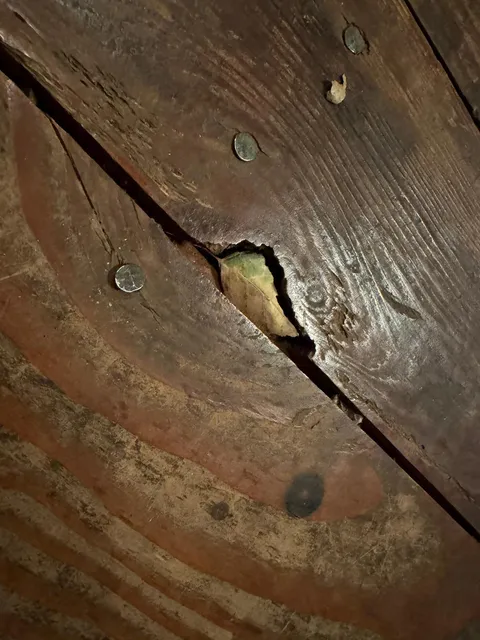 This leaf fit perfectly into this hole 