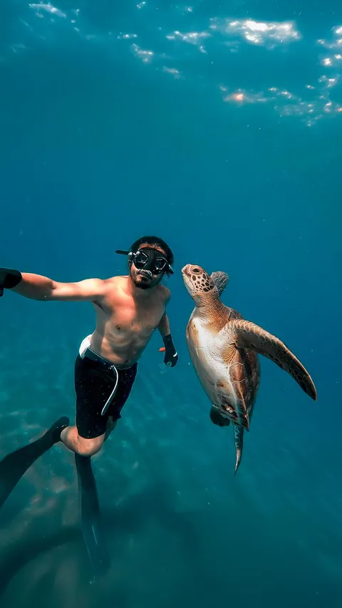 [OC] Took a selfie with a sea turtle