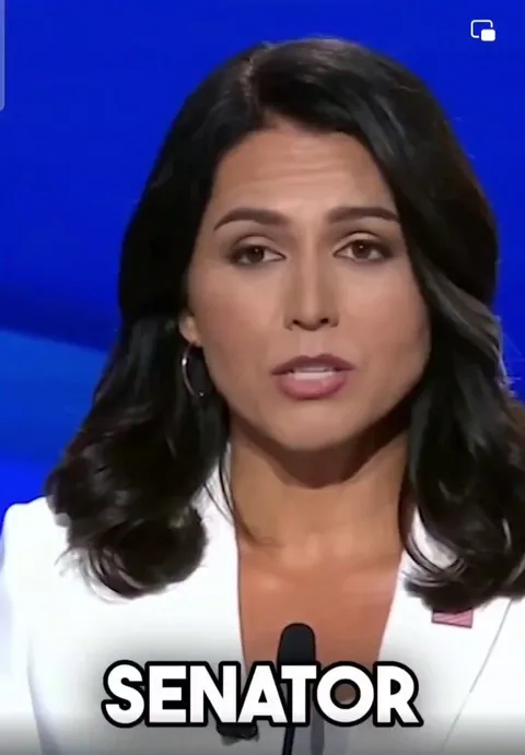 If only the MSM could replay when Tulsi Gabbard destroyed Harris with a few sentences