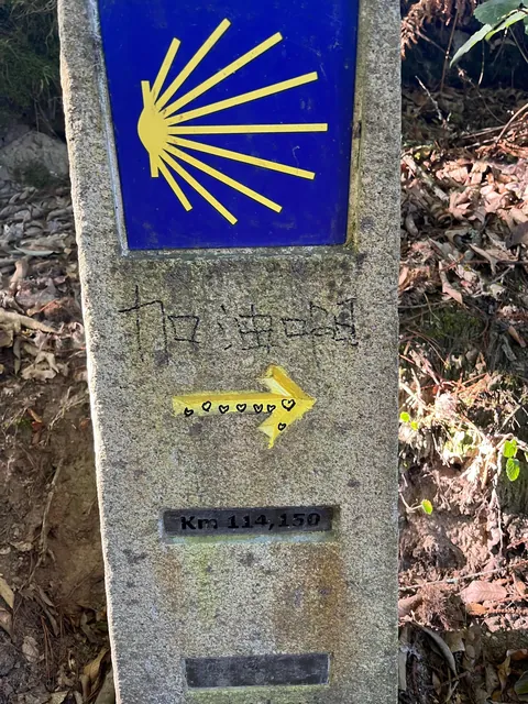 I completed the Camino de Santiago alone in Spain