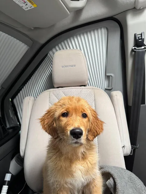 I couldn’t imagine a better co-pilot