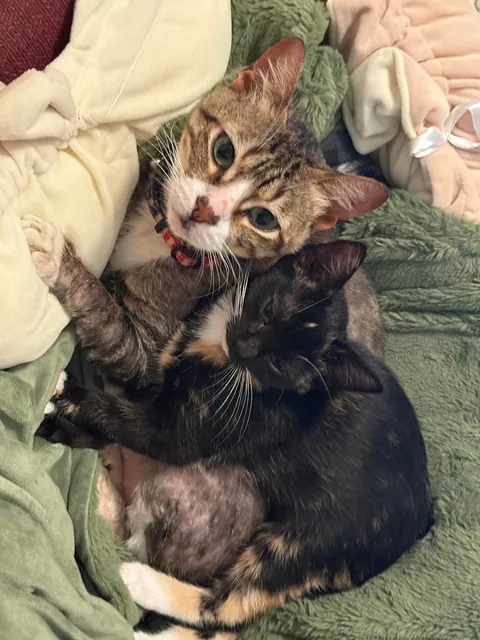 Tribute to my sweet boy. I just want people to know he existed