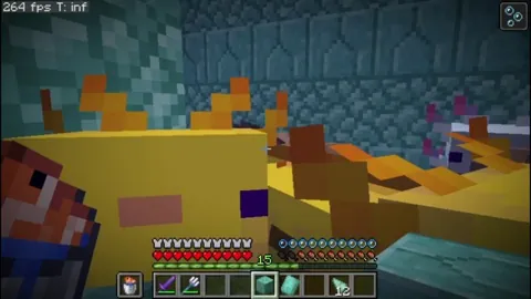 I just found out that axolotls give regeneration and remove mining fatigue when in combat